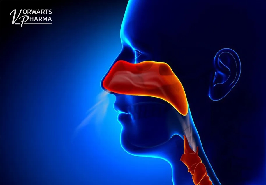 Lorekt: a medical device for daily nose and throat care