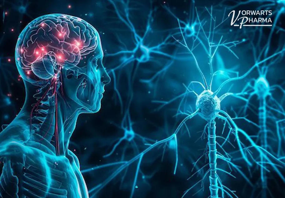 Aksotroph: Complex for Nerve Fiber Support