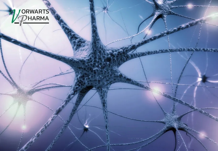 Neuropathy: Causes, Symptoms, and Methods to Support the Nervous System Neuropathy: Causes, Symptoms, and Methods to Support the Nervous System