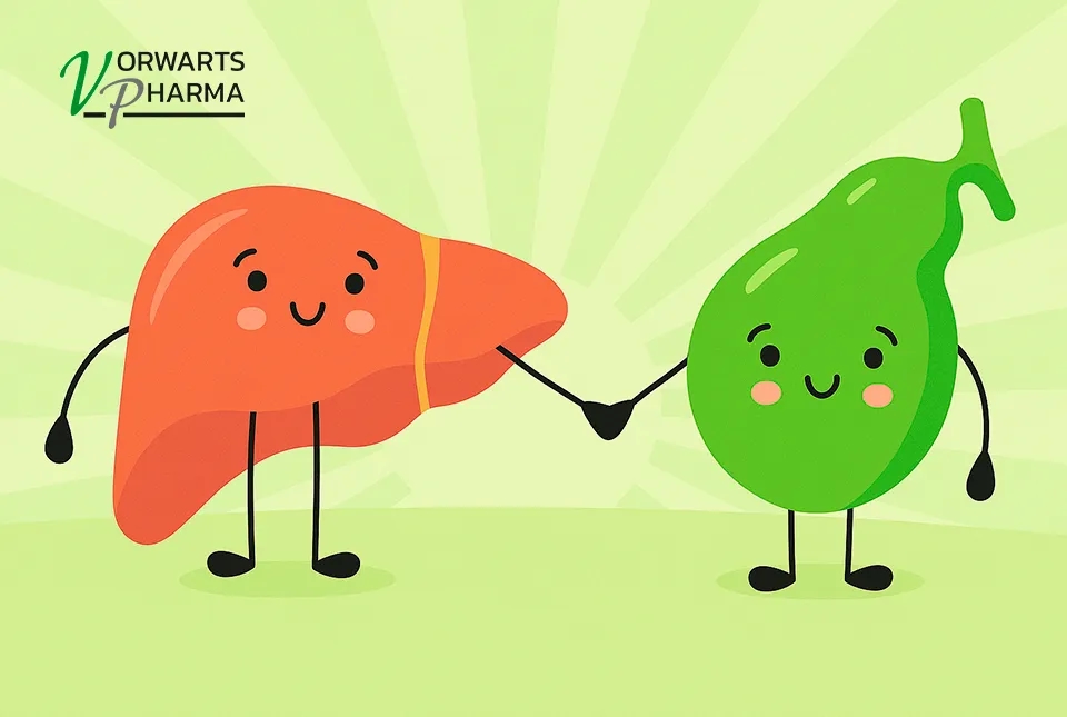 Signs of Gallbladder Dysfunction: Symptoms, Causes, and Support Signs of Gallbladder Dysfunction: Symptoms, Causes, and Support